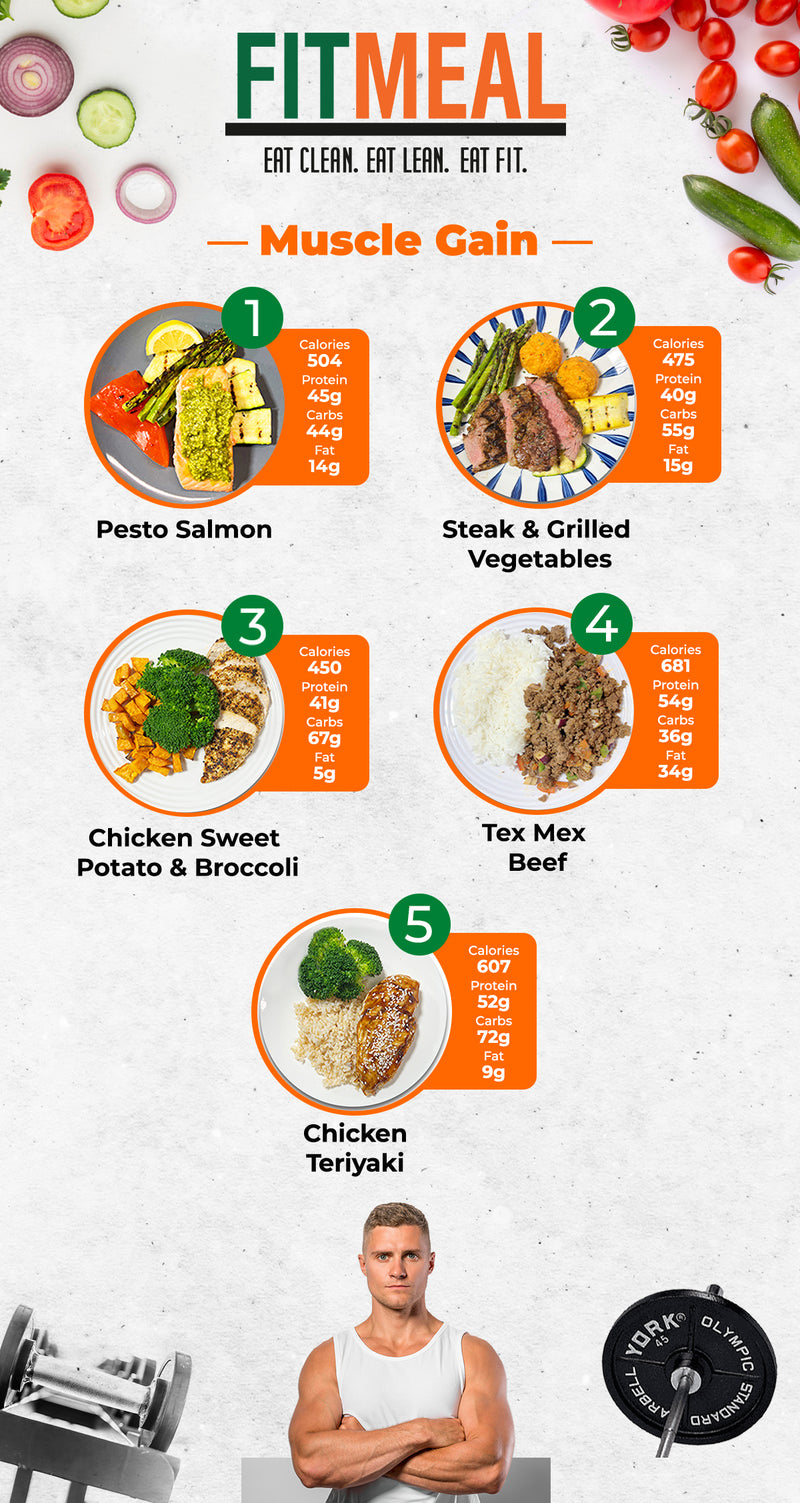 7 Day Muscle Building Meal Plan: Ultimate Guide for Fast Gains